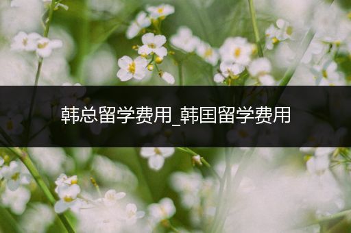 韩总留学费用_韩囯留学费用