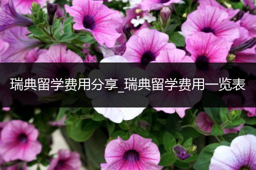 瑞典留学费用分享_瑞典留学费用一览表
