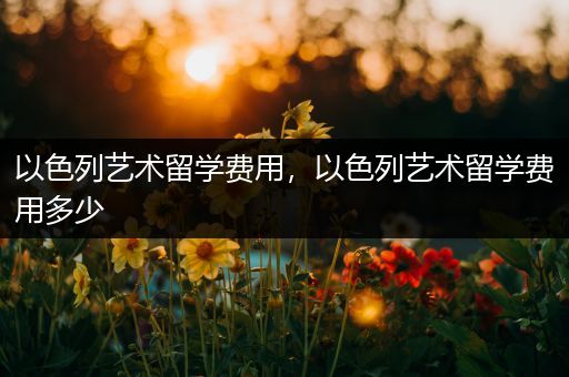 以色列艺术留学费用，以色列艺术留学费用多少