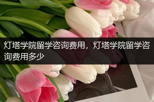 灯塔学院留学咨询费用，灯塔学院留学咨询费用多少
