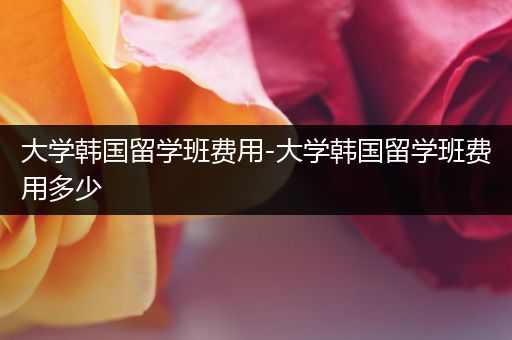 大学韩国留学班费用-大学韩国留学班费用多少