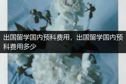 出国留学国内预科费用，出国留学国内预科费用多少