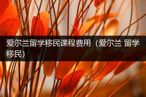 爱尔兰留学移民课程费用（爱尔兰 留学移民）