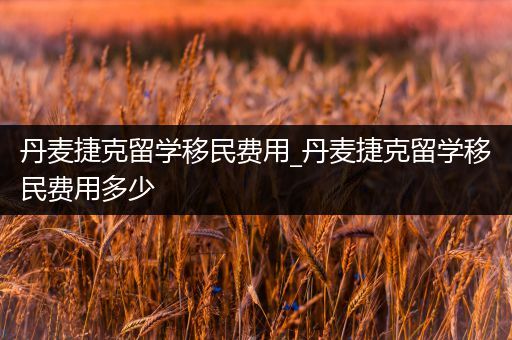 丹麦捷克留学移民费用_丹麦捷克留学移民费用多少