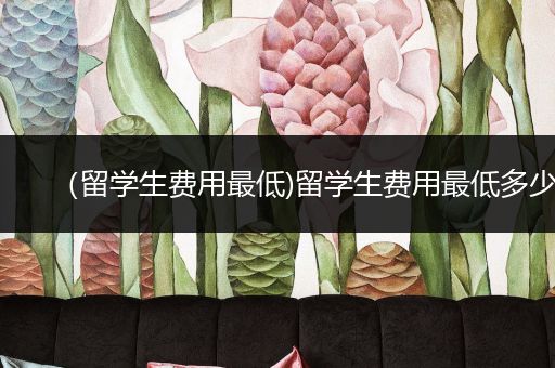 （留学生费用最低)留学生费用最低多少