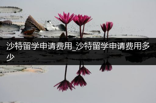 沙特留学申请费用_沙特留学申请费用多少