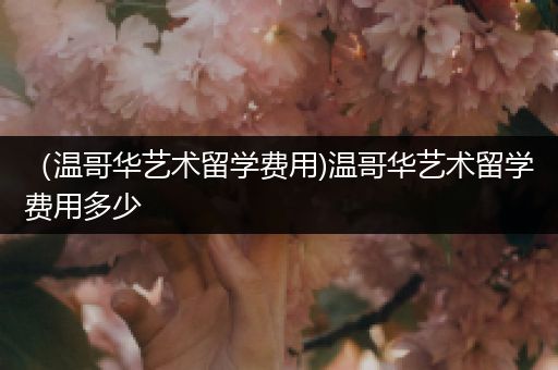 （温哥华艺术留学费用)温哥华艺术留学费用多少