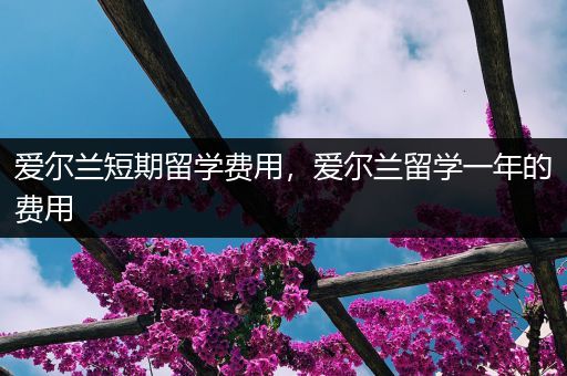爱尔兰短期留学费用，爱尔兰留学一年的费用