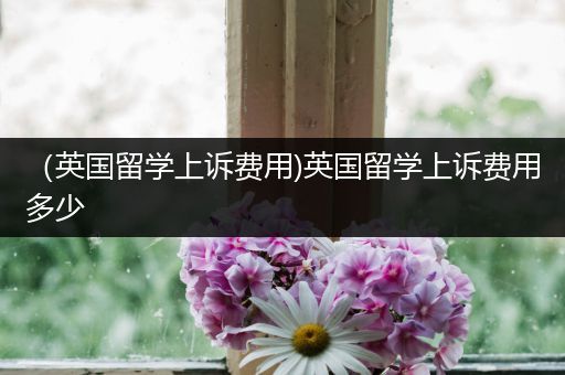 （英国留学上诉费用)英国留学上诉费用多少