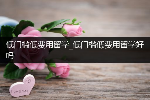 低门槛低费用留学_低门槛低费用留学好吗