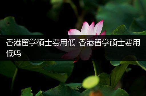 香港留学硕士费用低-香港留学硕士费用低吗