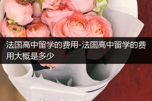法国高中留学的费用-法国高中留学的费用大概是多少