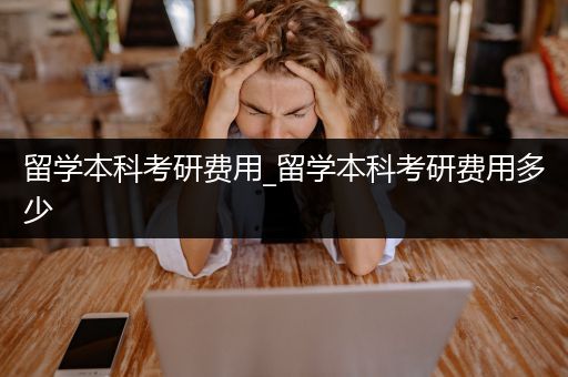 留学本科考研费用_留学本科考研费用多少
