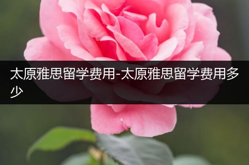 太原雅思留学费用-太原雅思留学费用多少