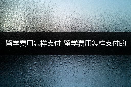 留学费用怎样支付_留学费用怎样支付的