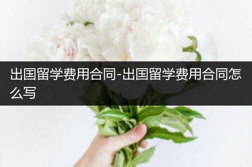 出国留学费用合同-出国留学费用合同怎么写