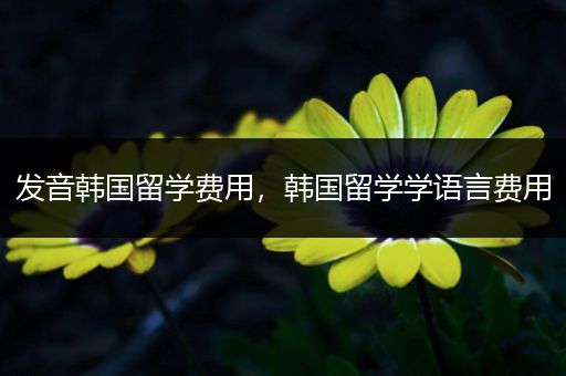发音韩国留学费用，韩国留学学语言费用