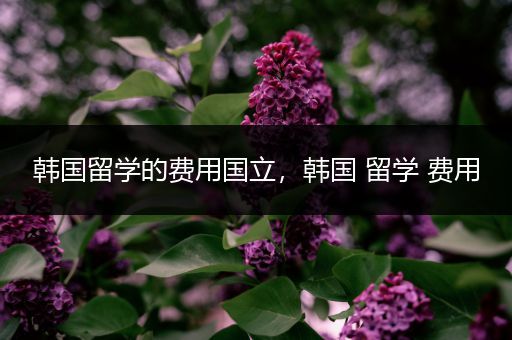 韩国留学的费用国立，韩国 留学 费用