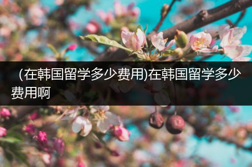 （在韩国留学多少费用)在韩国留学多少费用啊
