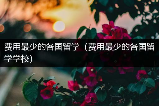 费用最少的各国留学（费用最少的各国留学学校）