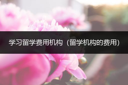 学习留学费用机构（留学机构的费用）
