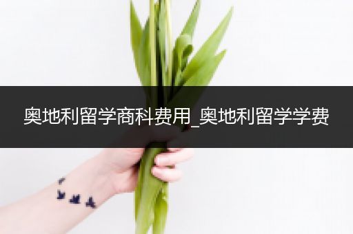 奥地利留学商科费用_奥地利留学学费