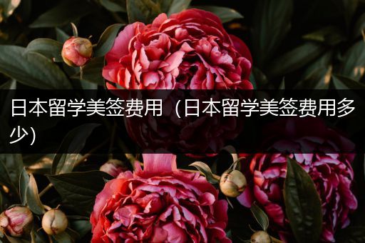 日本留学美签费用（日本留学美签费用多少）
