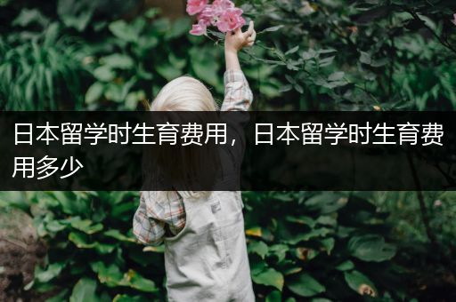 日本留学时生育费用，日本留学时生育费用多少