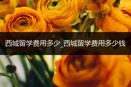 西城留学费用多少_西城留学费用多少钱