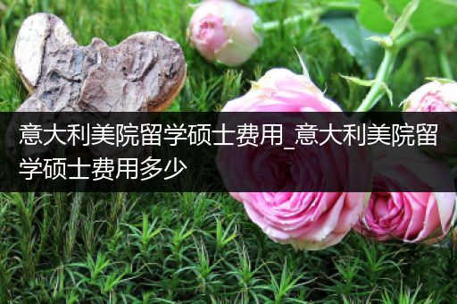 意大利美院留学硕士费用_意大利美院留学硕士费用多少