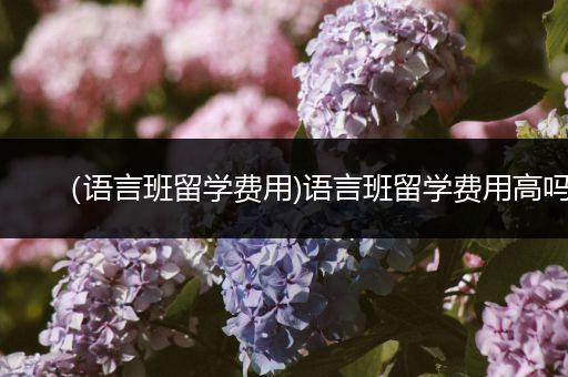 （语言班留学费用)语言班留学费用高吗