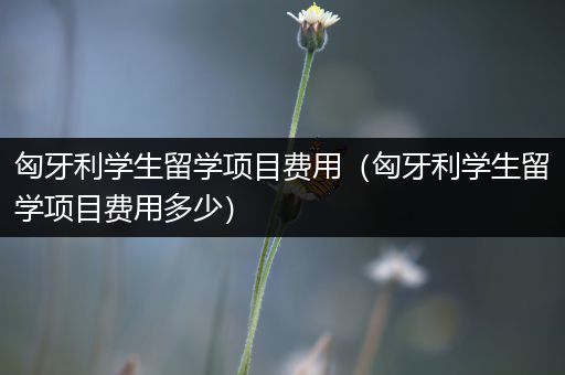 匈牙利学生留学项目费用（匈牙利学生留学项目费用多少）