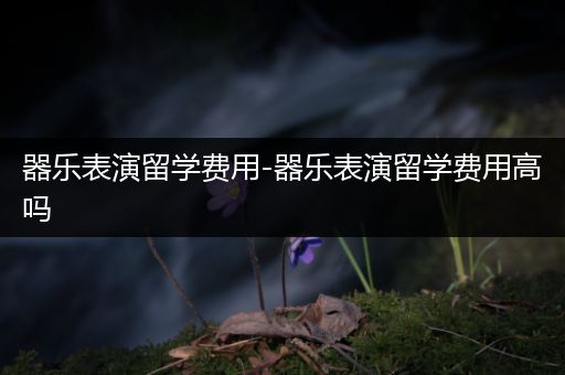 器乐表演留学费用-器乐表演留学费用高吗