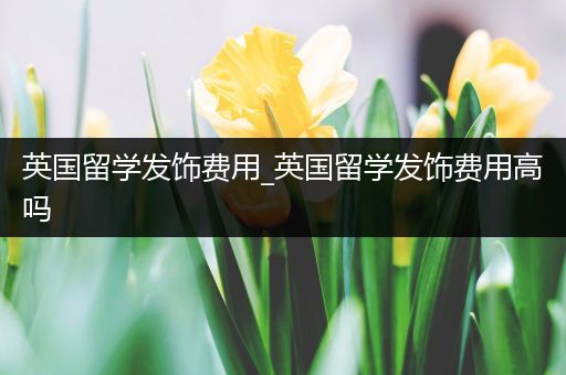 英国留学发饰费用_英国留学发饰费用高吗