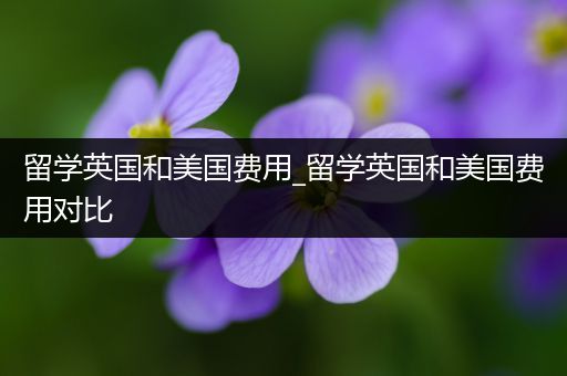留学英国和美国费用_留学英国和美国费用对比