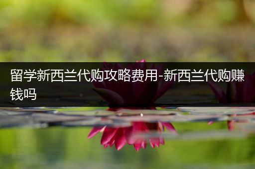 留学新西兰代购攻略费用-新西兰代购赚钱吗