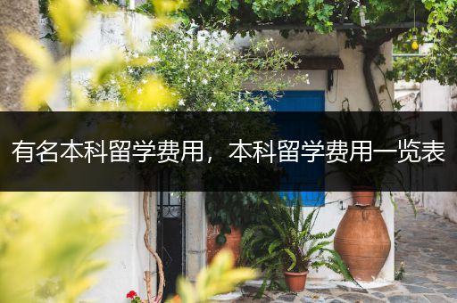 有名本科留学费用，本科留学费用一览表