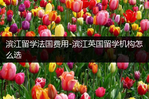 滨江留学法国费用-滨江英国留学机构怎么选