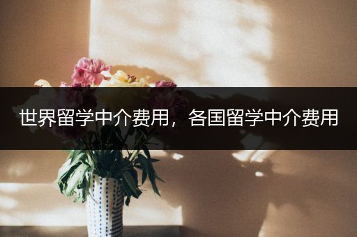 世界留学中介费用，各国留学中介费用