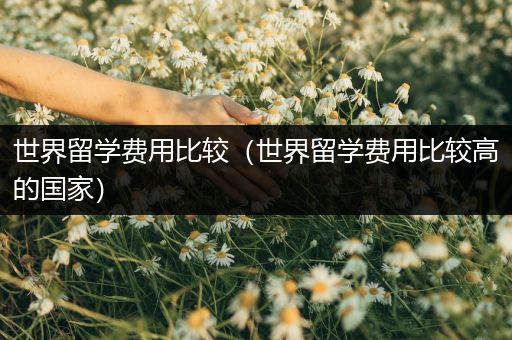 世界留学费用比较（世界留学费用比较高的国家）