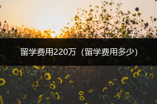 留学费用220万（留学费用多少）