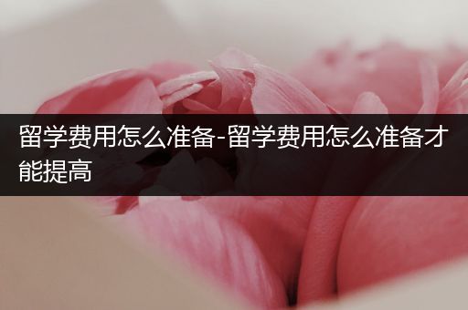 留学费用怎么准备-留学费用怎么准备才能提高