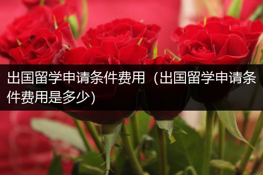 出国留学申请条件费用（出国留学申请条件费用是多少）
