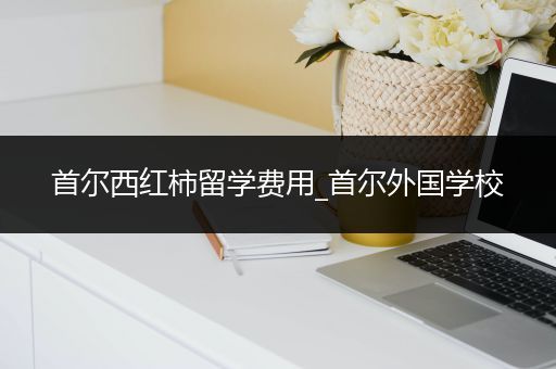 首尔西红柿留学费用_首尔外国学校
