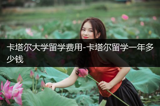 卡塔尔大学留学费用-卡塔尔留学一年多少钱