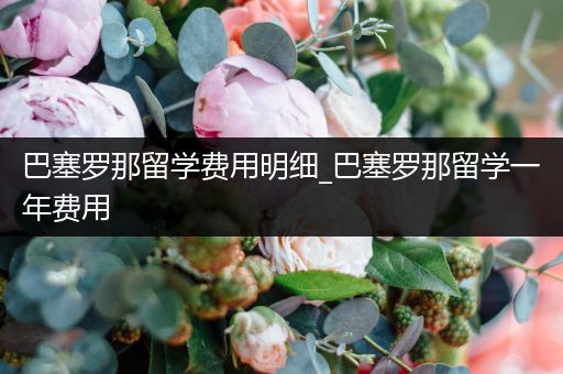 巴塞罗那留学费用明细_巴塞罗那留学一年费用