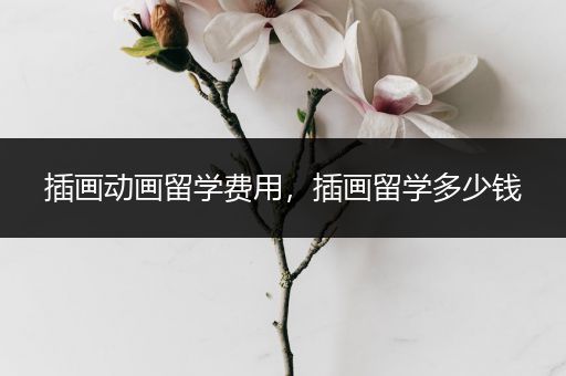 插画动画留学费用，插画留学多少钱