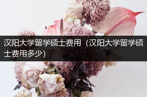 汉阳大学留学硕士费用（汉阳大学留学硕士费用多少）