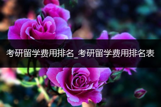 考研留学费用排名_考研留学费用排名表