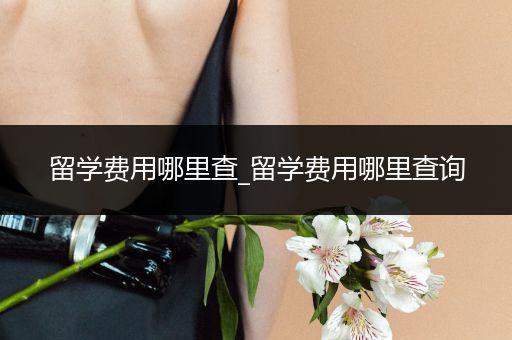 留学费用哪里查_留学费用哪里查询